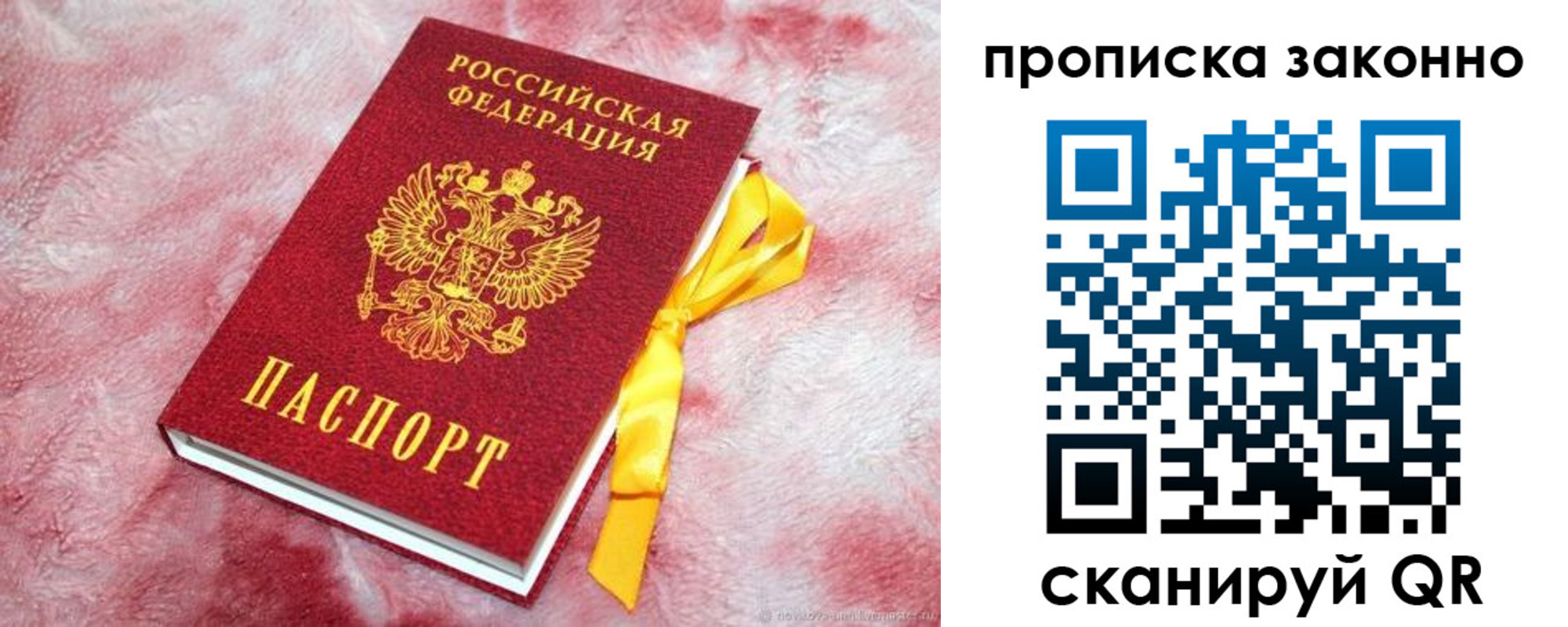 временная регистрация поиск в Барыше